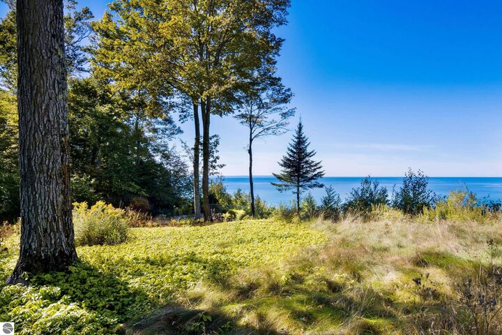 Property Photo: 12281 N Island View Drive MI 49670