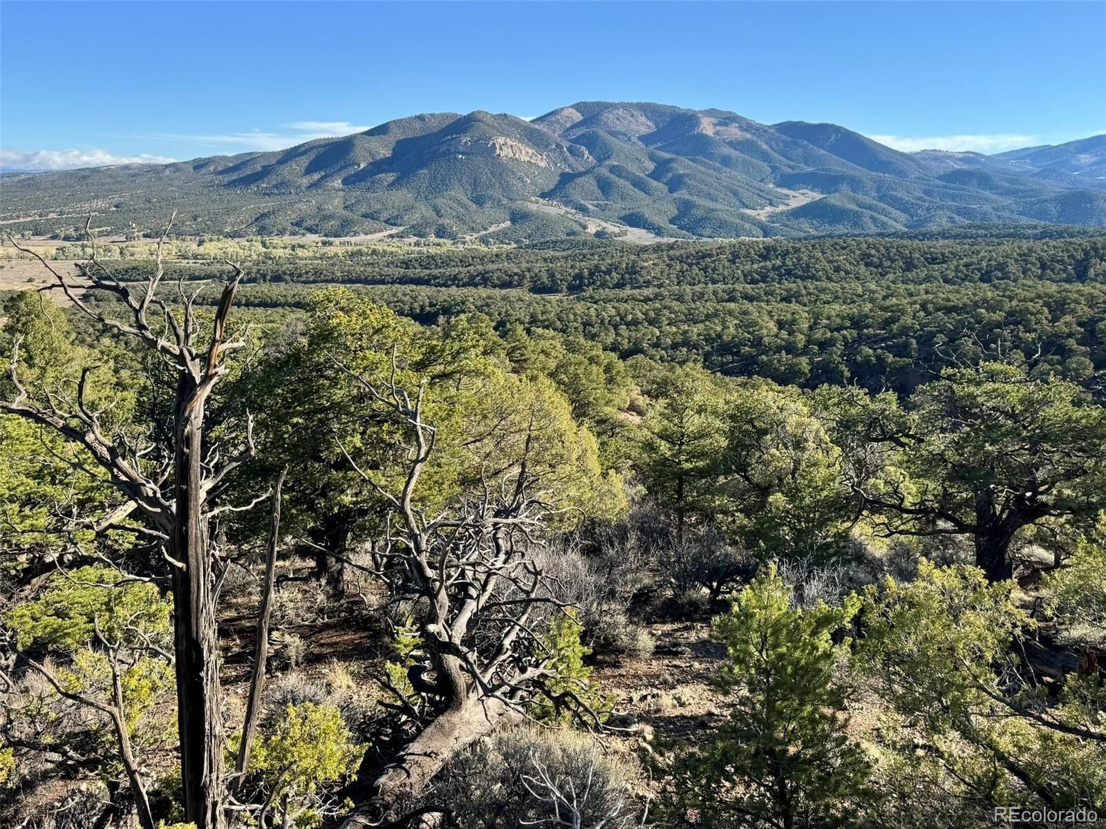 Property Photo:  Lot 2337 Sandoval Road  CO 81133 