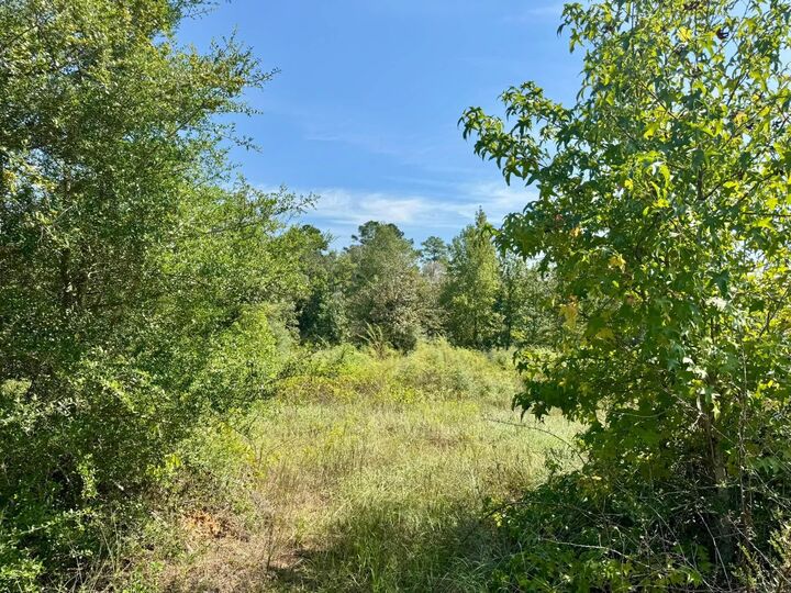 Property Photo:  Tract 3 Private Rd 8385  TX 77660-9999 