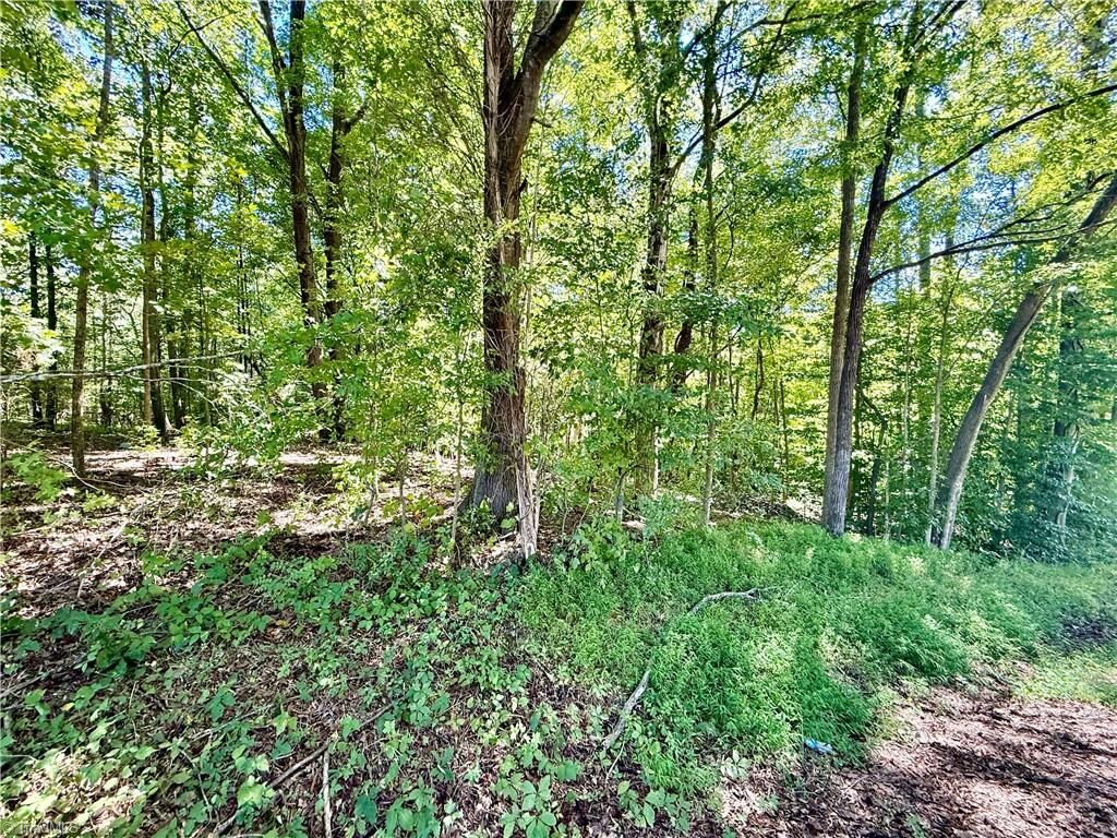 Property Photo: 384 Riverview Lane NC 27292