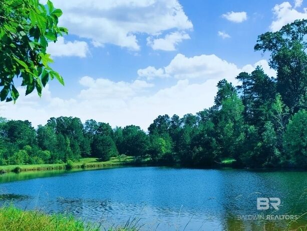 Property Photo:  0 Highway 17  AL 36558 