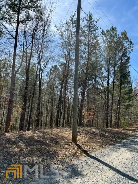 Property Photo:  Lt 3 Hunter Ridge  GA 30540 