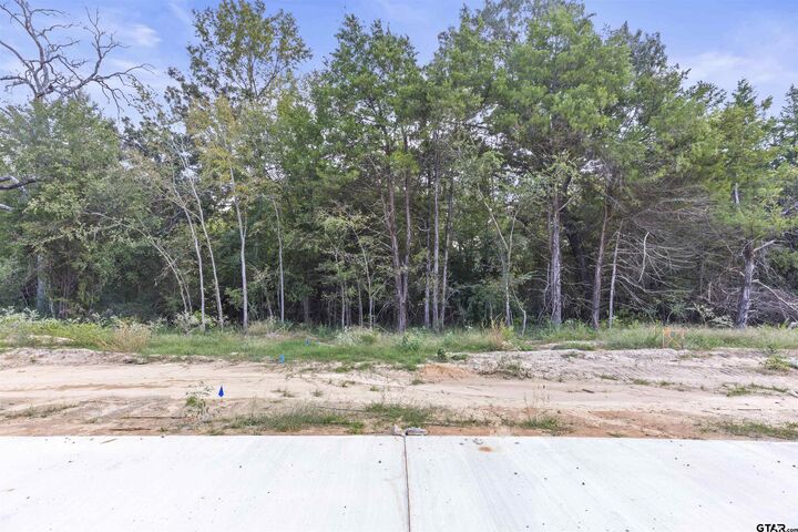 Property Photo:  13938 Cedar Hill Ln (Lindale Isd)  TX 75704 