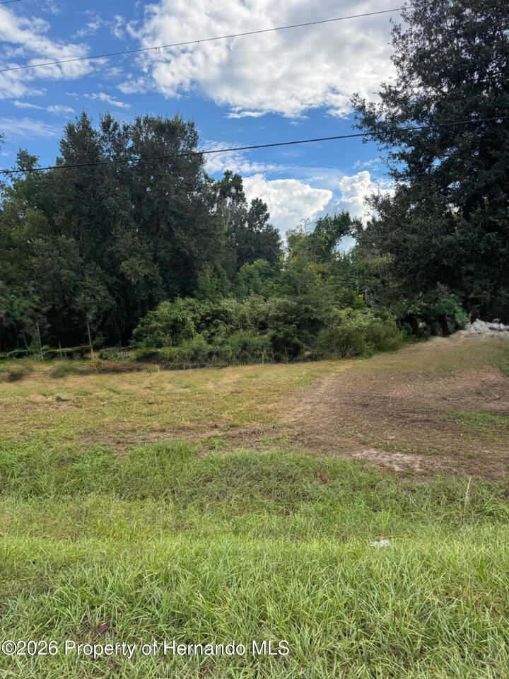 Property Photo:  23154 Foreside Avenue  FL 34601 