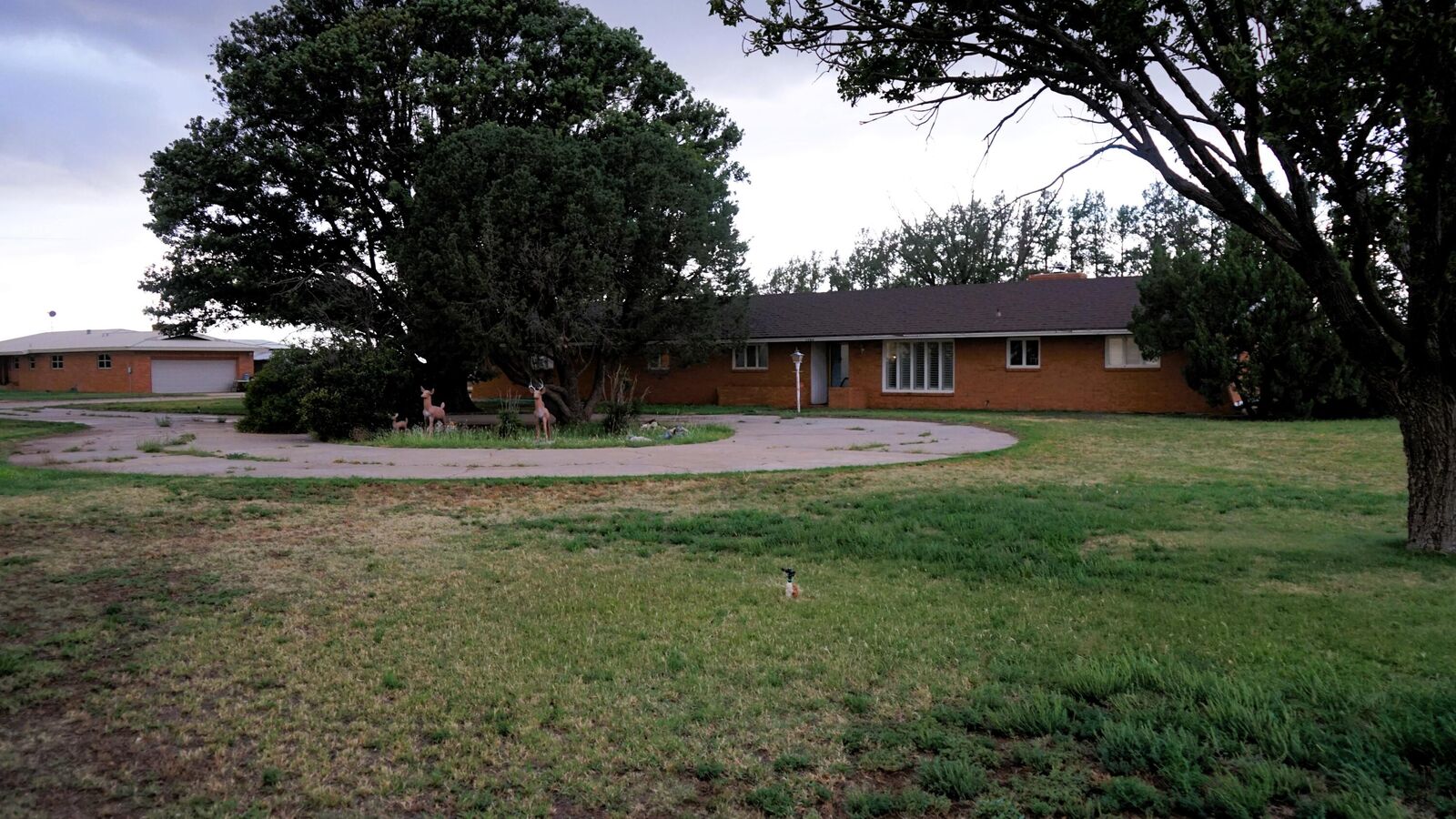 Property Photo:  1703 US-70  TX 79082 