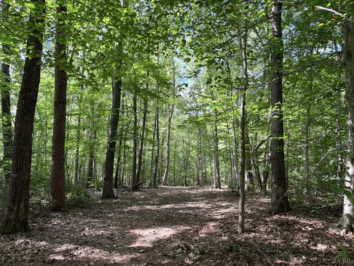 Property Photo:  33 Piney Mountain Lane  VA 22971 