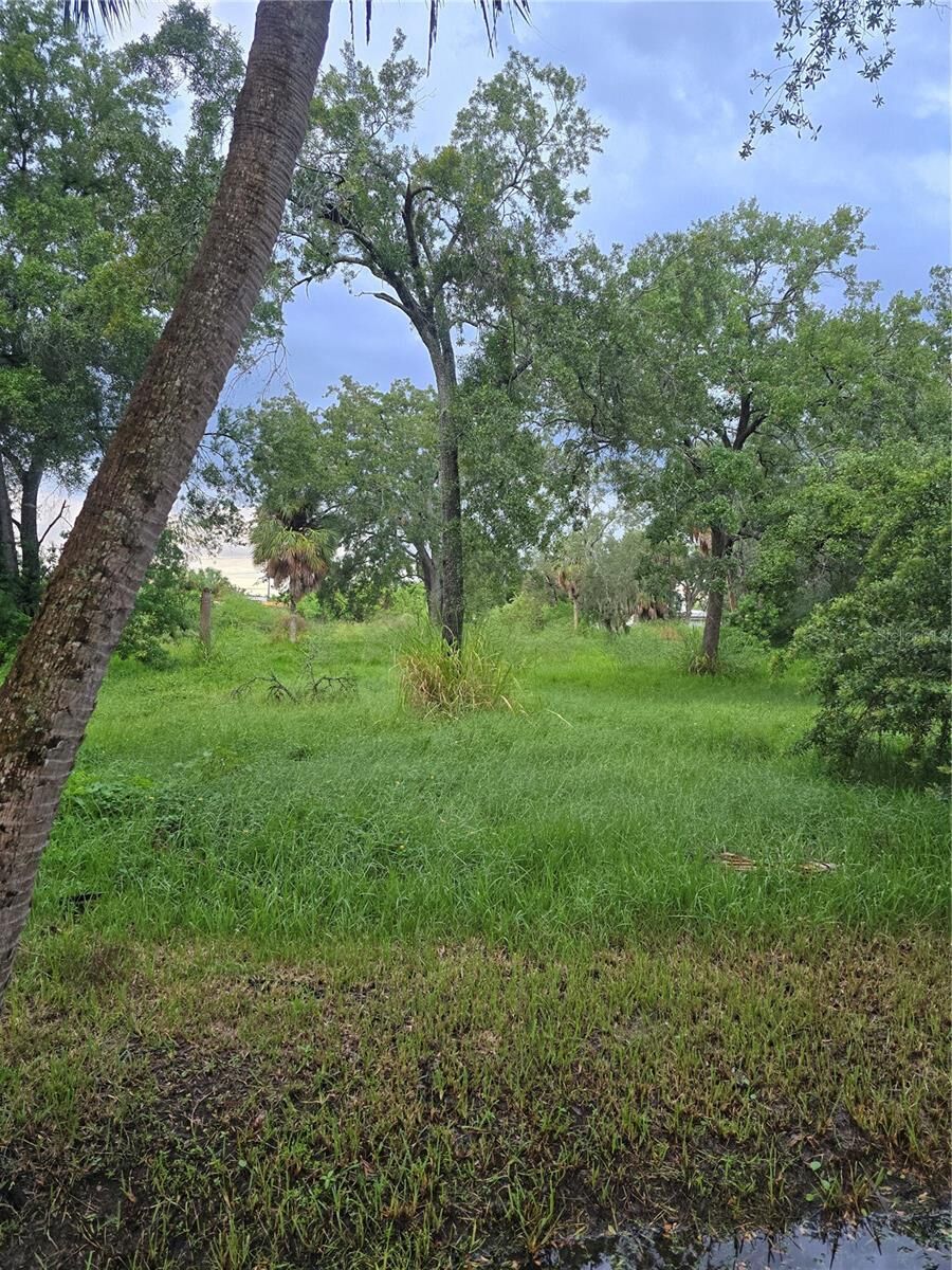 Property Photo:  7300 S Swoope Street  FL 33616 