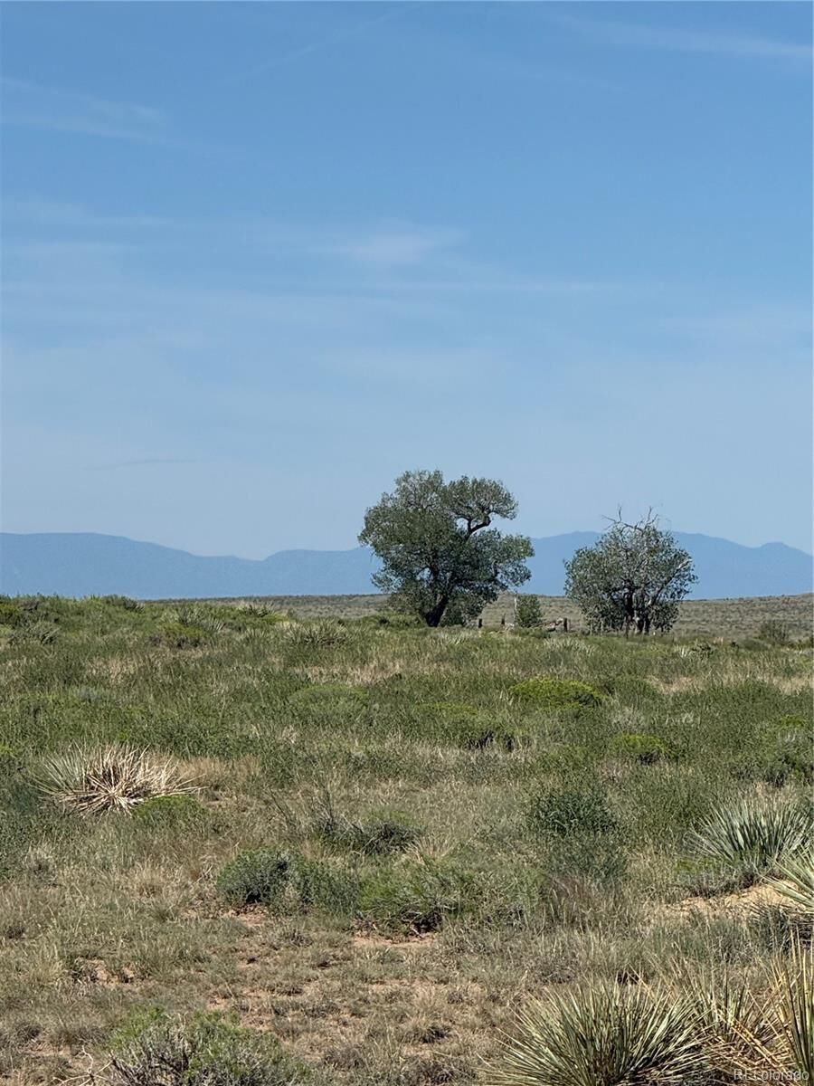 Property Photo:  60000 Huckleberry Road  CO 81025 