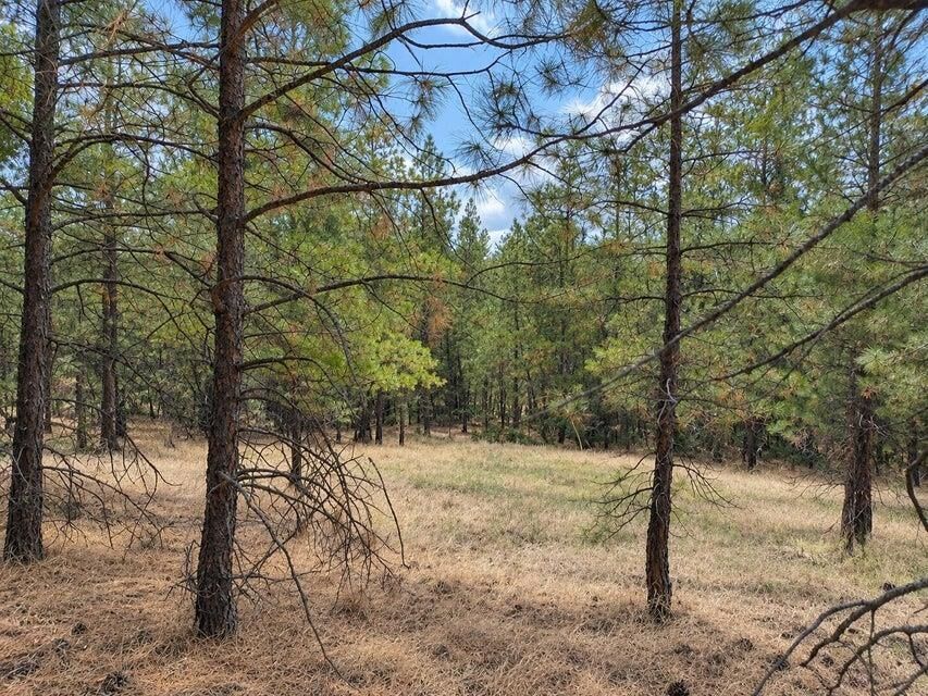 Property Photo:  Nka Ponderosa Way  WA 99141 