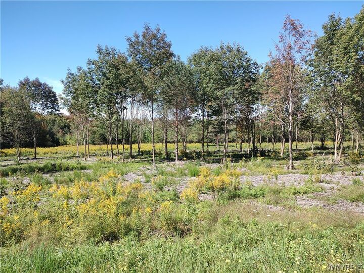 Property Photo: 0 Dutch Hill Rd, Lot #2 NY 14171