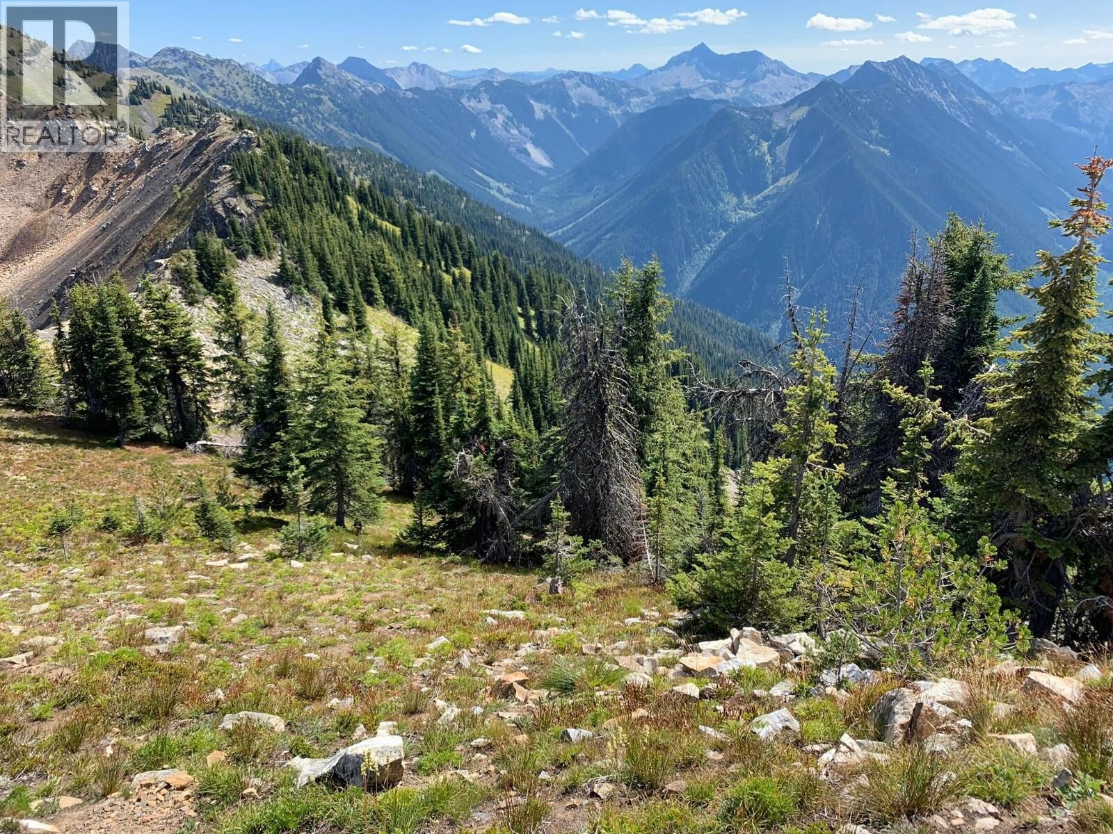 Property Photo:  Mt. Payne Fsr Other  BC V0V 0V0 