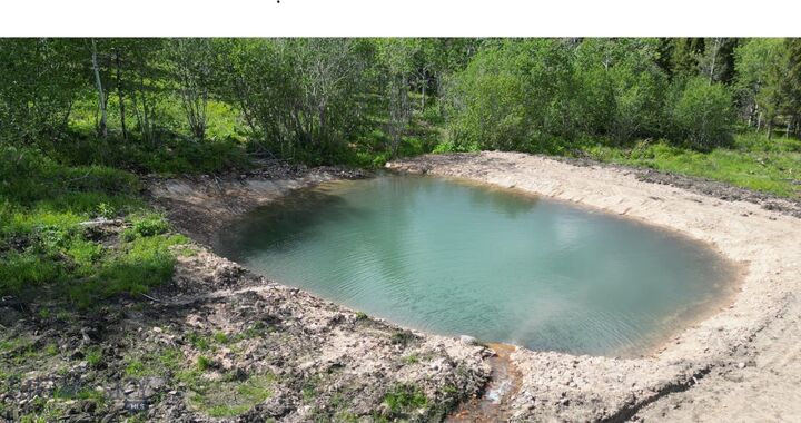 Property Photo:  8 Tract, Hall Creek  MT 59843 