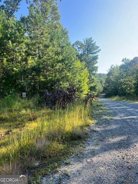 Property Photo: Lt 50 White Pine Ridge GA 30540
