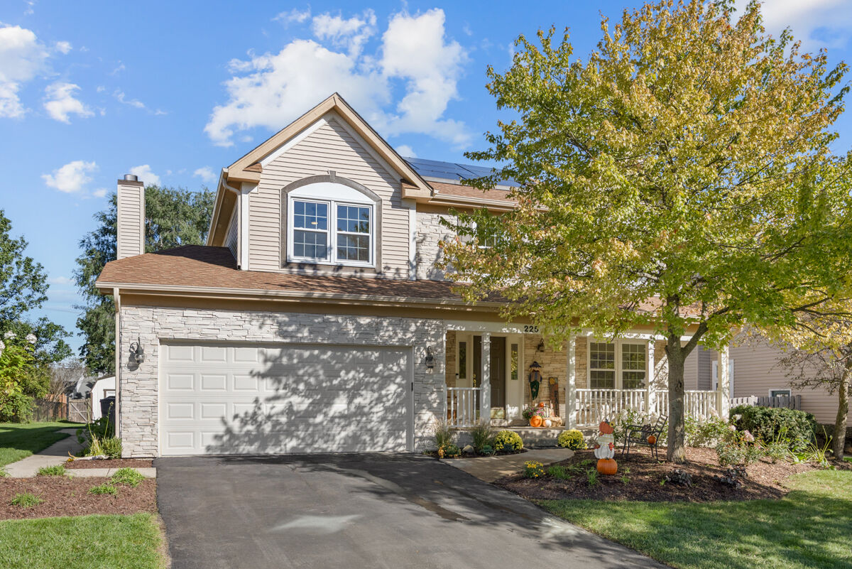 Property Photo: 225 Farmhill Drive IL 60102