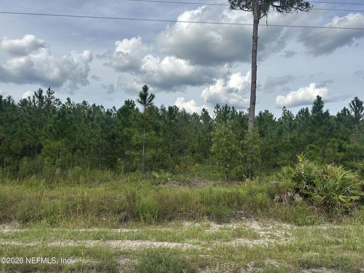 Property Photo:  Lot 16 E Hillsborough Avenue  FL 32140 