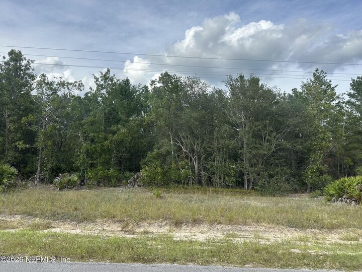 Property Photo: Lot 16 E Hillsborough Avenue FL 32140