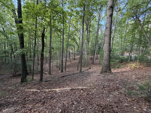 Property Photo:  Lot 556 Satsuma Court  GA 30540 