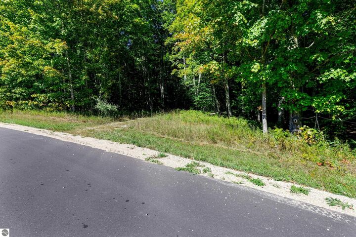 Property Photo: 00 Ballard Road MI 49616