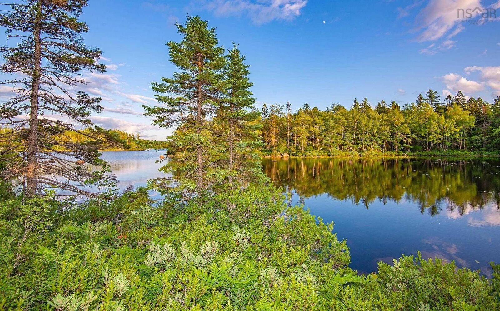 Property Photo:  Lot 12 Charleton Road  NS B0S 1A0 