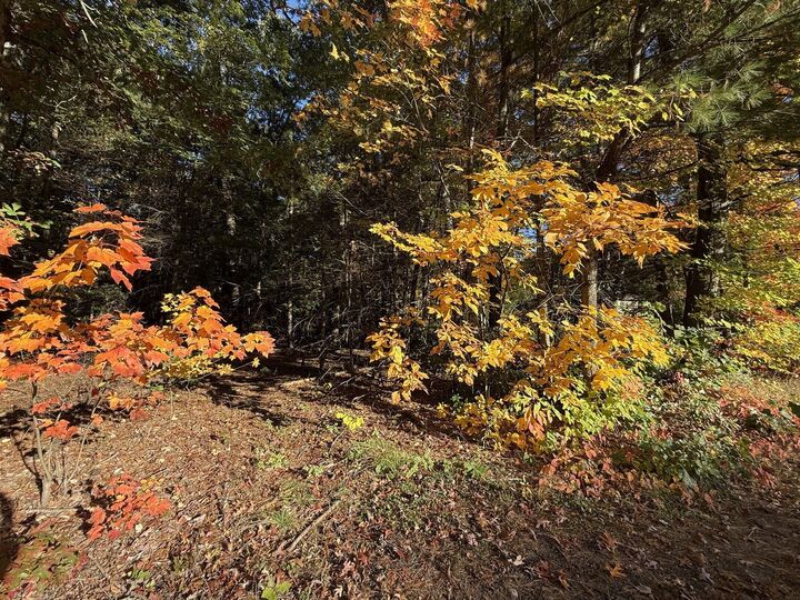 Property Photo: Lot 1 Northwest Road MA 01085