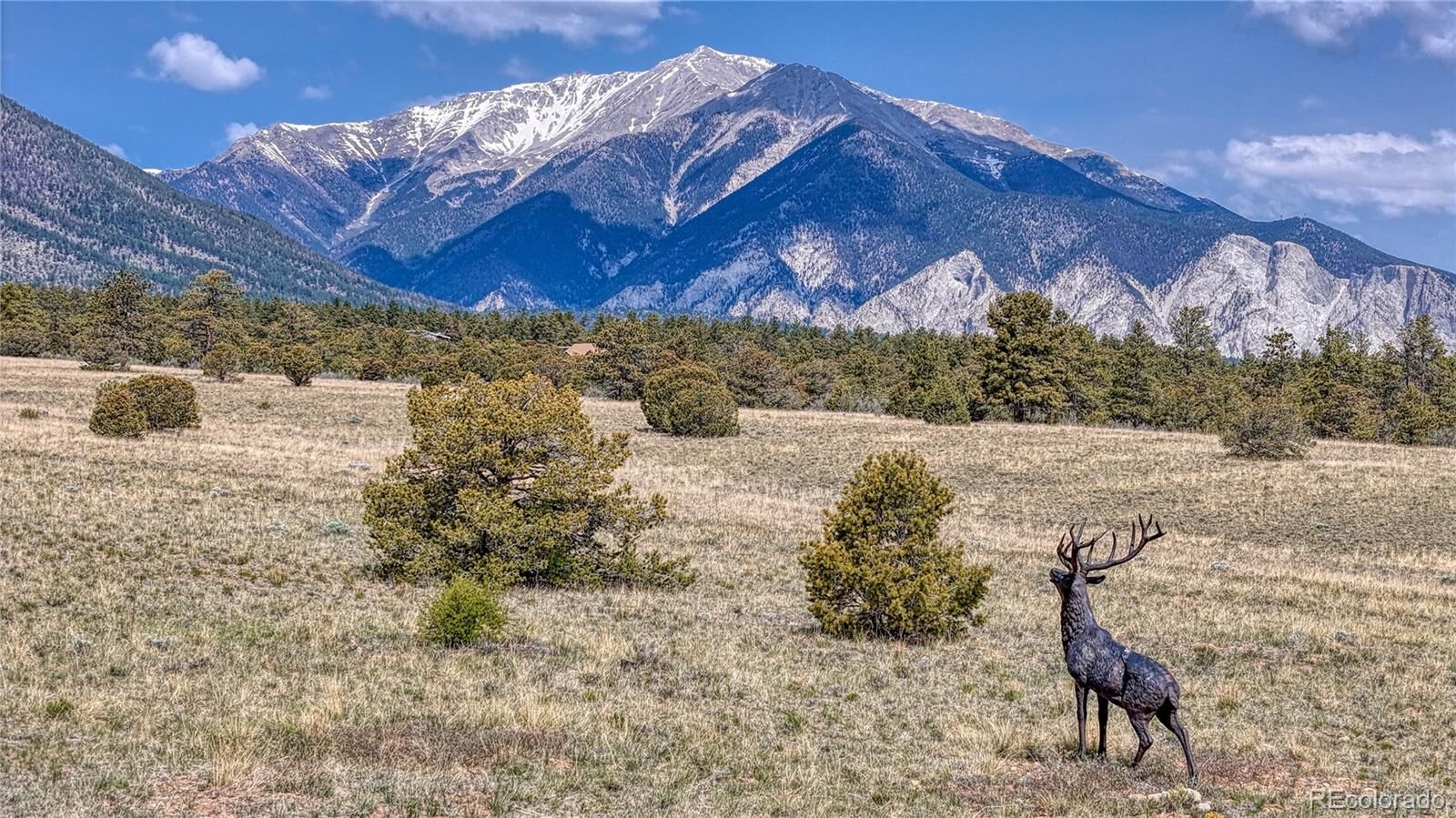 Property Photo:  Dry Gulch Road  CO 81236 