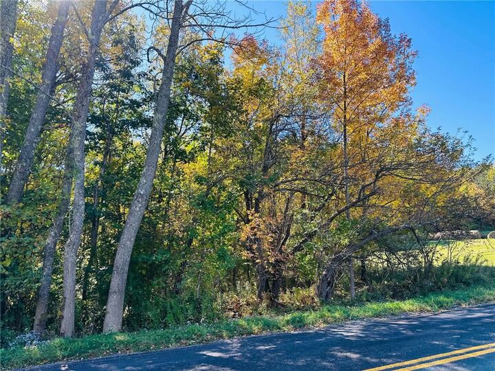 Property Photo:  County Highway 3A  NY 13849 