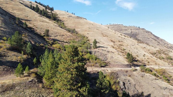 Property Photo:  Tbd Big Canyon Road  ID 83554 