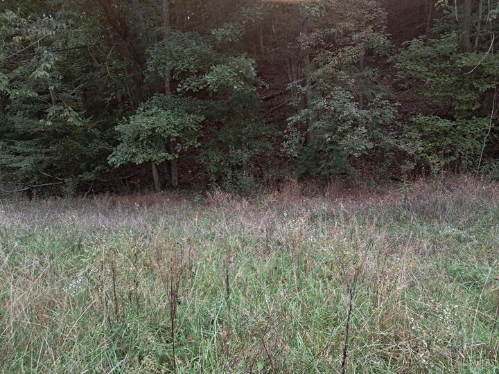 Property Photo:  2704 Churn Creek Road  OH 45616 