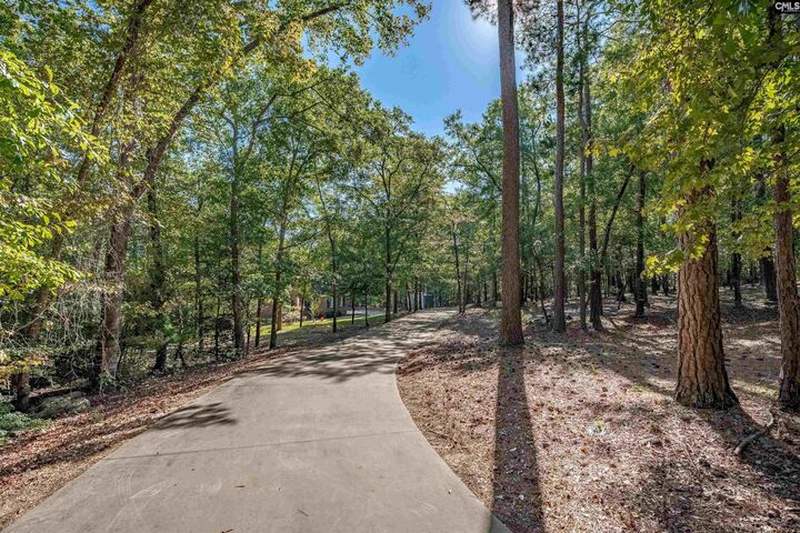 Property Photo:  181 Lake Mallard  SC 29020 