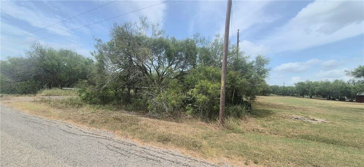 Property Photo:  4886 County Rd 28  TX 78380 