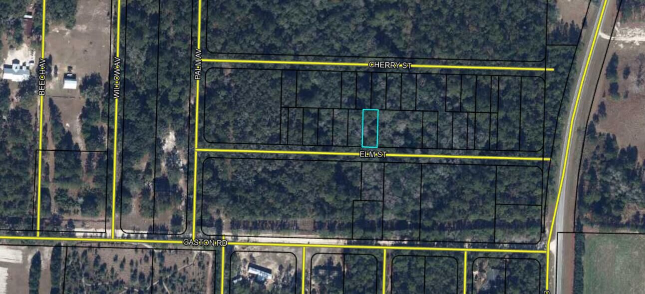 Property Photo:  Lots 68/69 Elm Street  FL 32462 
