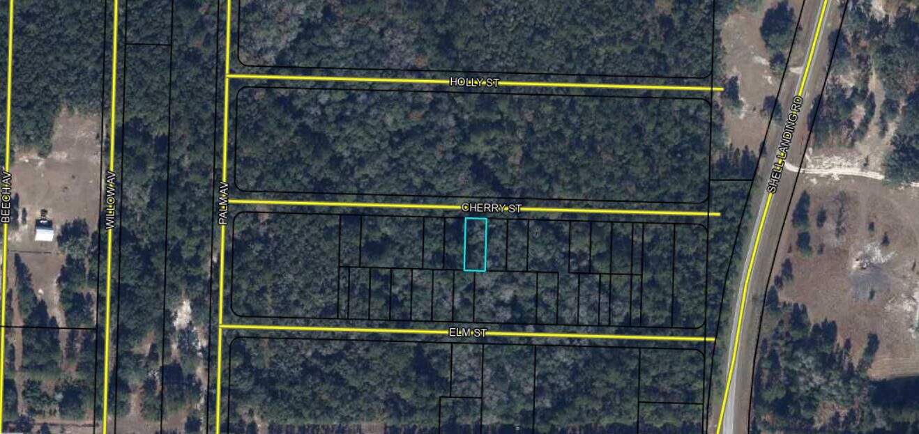 Property Photo:  Lots 19/20 Cherry Street  FL 32462 