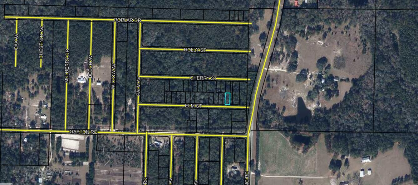 Property Photo:  Lots 53/54 Elm Street  FL 32462 