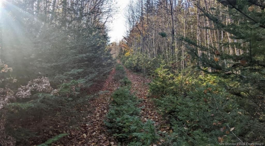 Property Photo:  - Old Great Road  NB E4H 3J6 