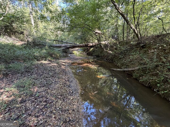 Property Photo:  00 Old Tennessee Road 2  GA 30217 