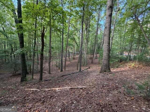 Property Photo: 556 Satsuma Court S GA 30540
