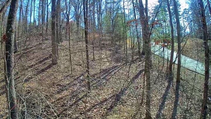 Property Photo:  0 Northwoods Lane  GA 30752 