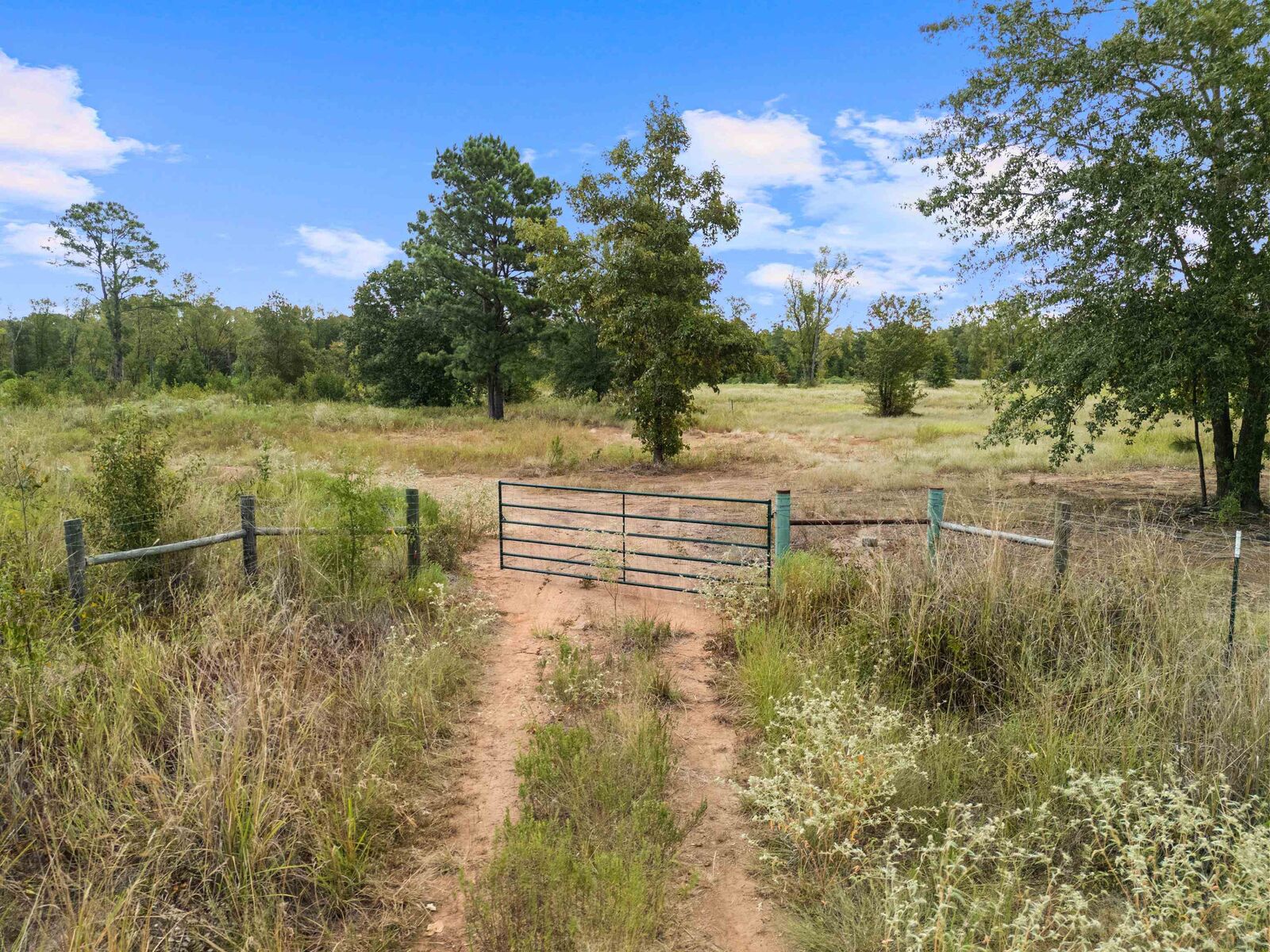 Property Photo: 956 Watson Rd. TX 75662