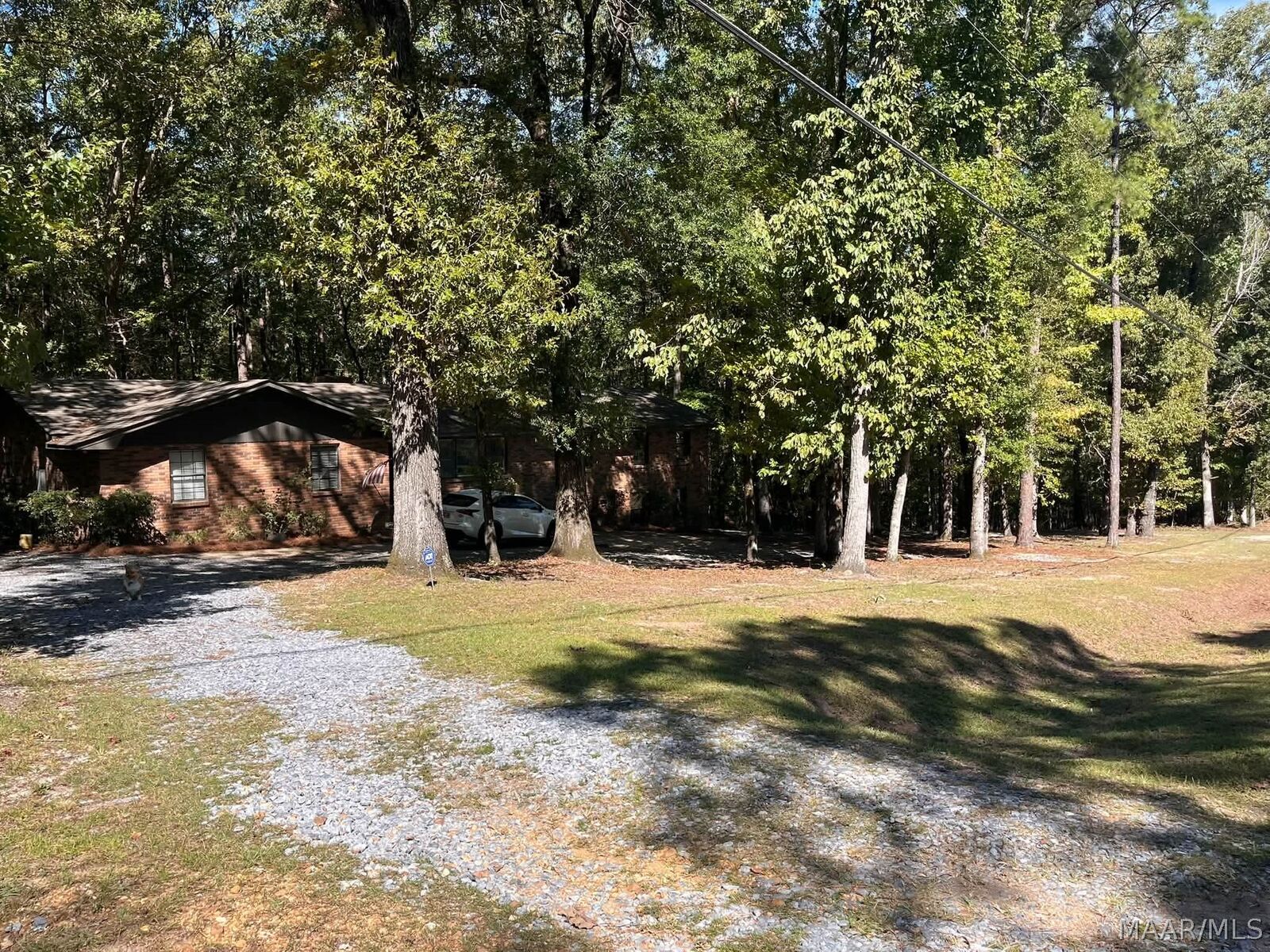 Property Photo: 2240 Trotters Trail AL 36093