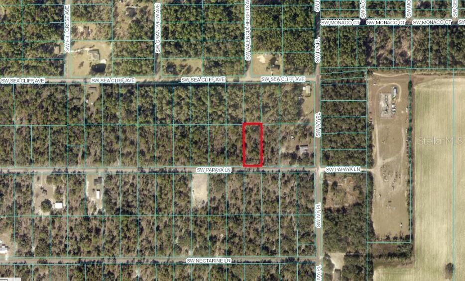 Property Photo:  Tbd SW Papaya Lane  FL 34431 