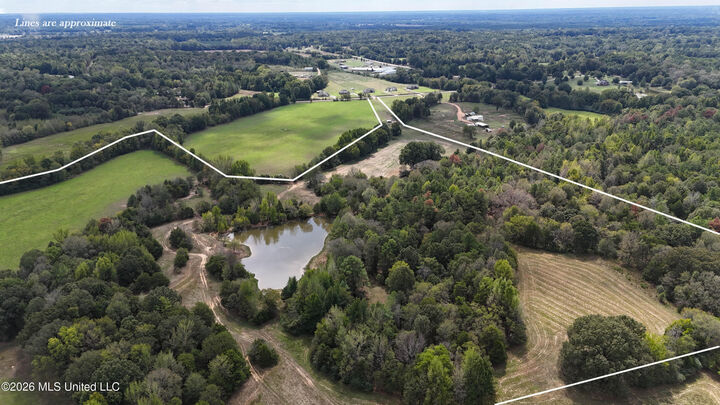 Property Photo: 58 Rowell Road MS 38618