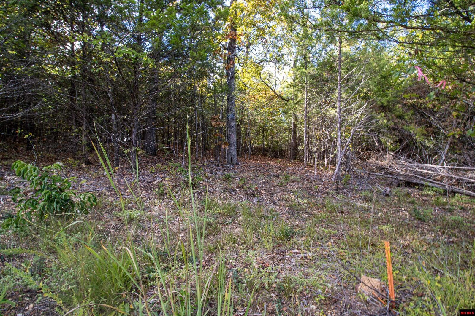 Property Photo:  002-11022-044 Cr 1420  AR 72653 