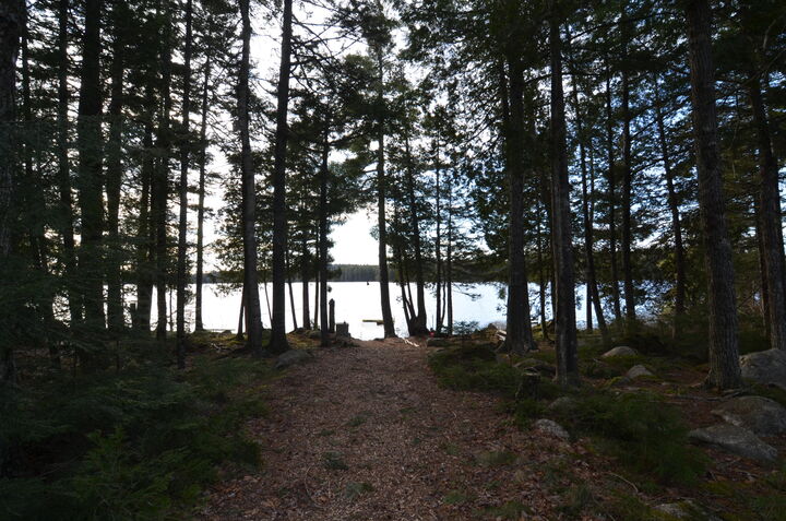 Property Photo: 229 Two Lakes Drive ME 04654