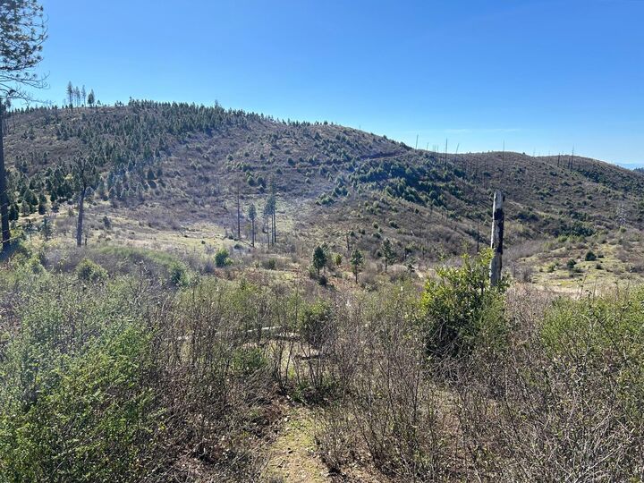 Property Photo:  1234 Hog Ranch Road  CA 95969 
