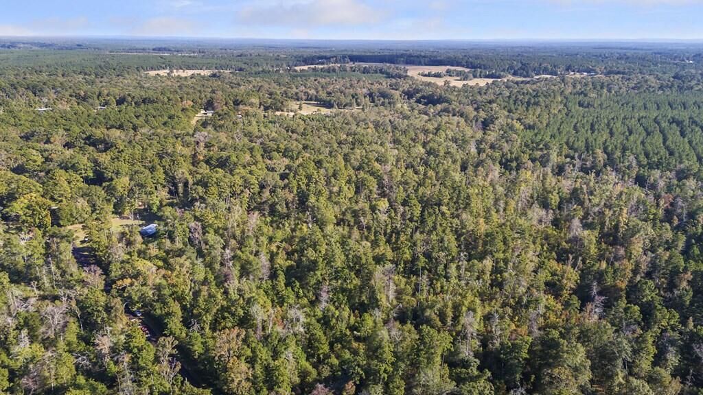 Property Photo:  R32312 Sandy Creek Road  TX 75980 