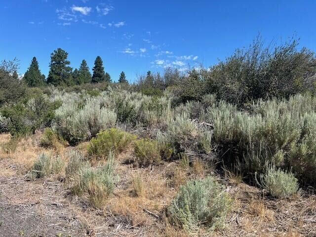 Property Photo:  Wrightwood Lot 17  OR 97624 