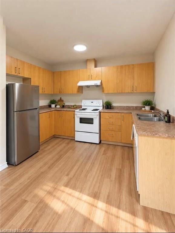 Property Photo:  343 Dalhousie Street  ON N3S 3V9 