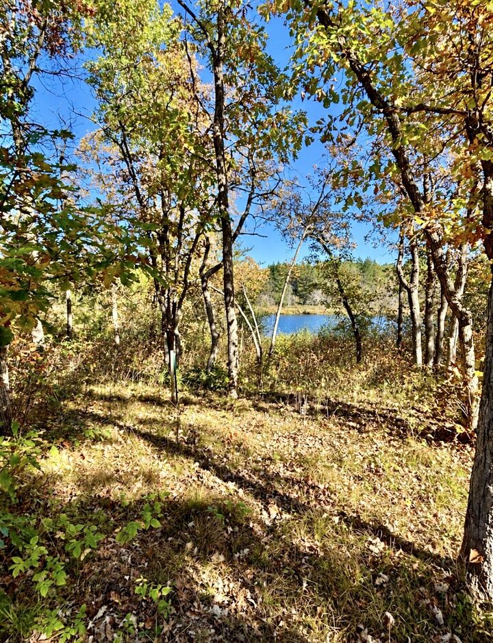 Property Photo: 9524 E Bergin Springs Road WI 54873
