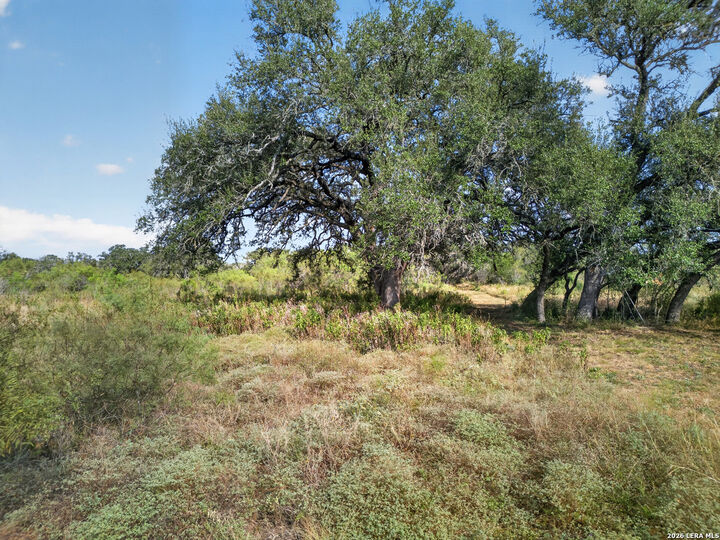 Property Photo:  Lots 19 &Amp 20 1796 Ranch  TX 78850 