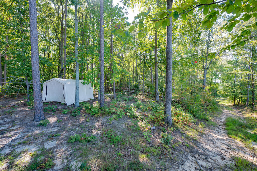 Property Photo:  00 Mountain Hall  VA 23930 
